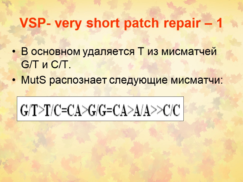 VSP- very short patch repair – 1 В основном удаляется Т из мисматчей G/T